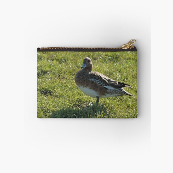 Item preview, Female Eurasian Widgeon designed and sold by Robert Abraham.