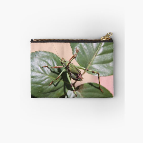 Item preview, creepy crawlie designed and sold by StaceyH.