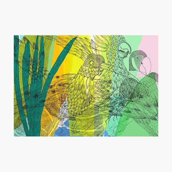 Latest gossip from the birds Photographic Print
