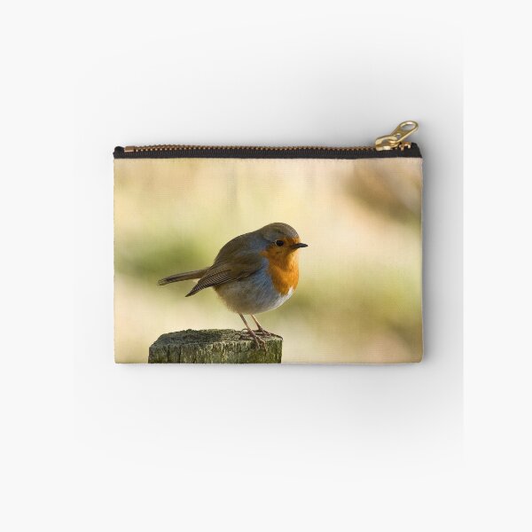 Item preview, Robin designed and sold by Michael Jordan.