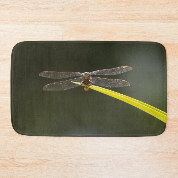 Item preview, Look straight in Dragonfly eyes designed and sold by Zina Stromberg.