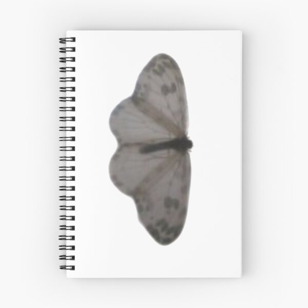 Aperçu de l'œuvre Papillon gris créée et vendue par savrh.