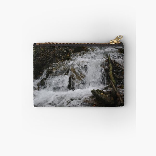 Item preview.