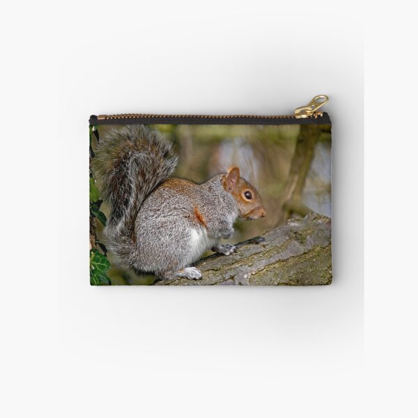 Item preview, Gray Squirrel designed and sold by sandmartin.