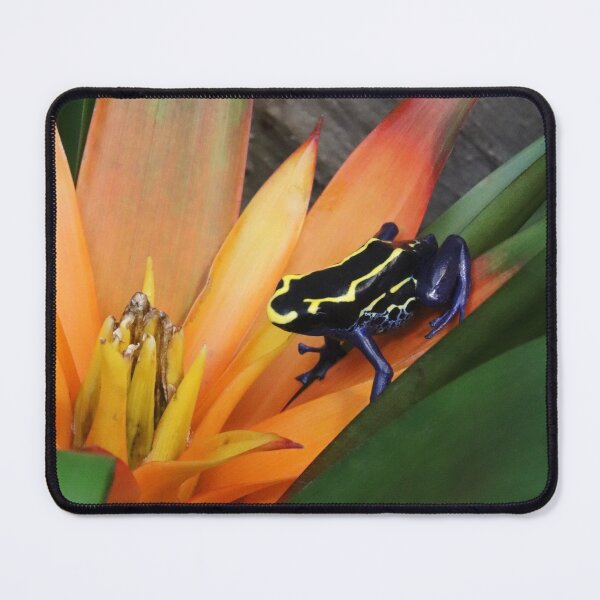 Item preview, Dyeing poison dart frog designed and sold by rootedrender.