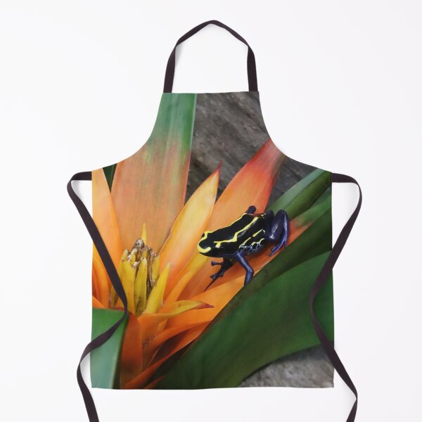 Item preview, Dyeing poison dart frog designed and sold by rootedrender.
