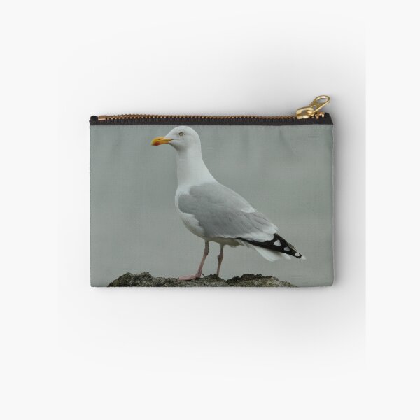 Item preview, Adult Herring Gull designed and sold by Robert Abraham.