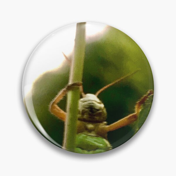 Item preview, Grasshopper in the grass designed and sold by allicatcorreia.