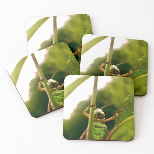 Item preview, Grasshopper in the grass designed and sold by allicatcorreia.