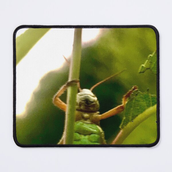 Item preview, Grasshopper in the grass designed and sold by allicatcorreia.
