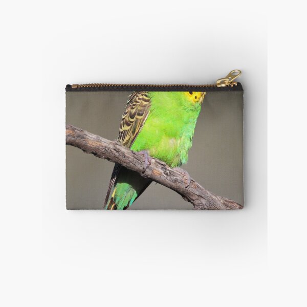 Item preview, Lonely Budgerigar  designed and sold by Seesee.