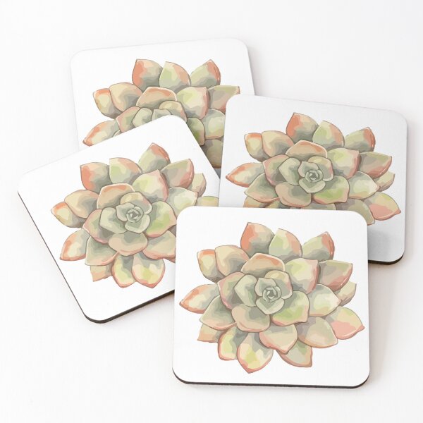 Item preview, Succulent designed and sold by OrquideaCR.