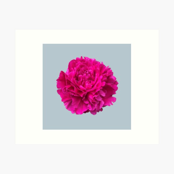Item preview, Hot Pink Peony Close-up Photo designed and sold by InalterataArt.