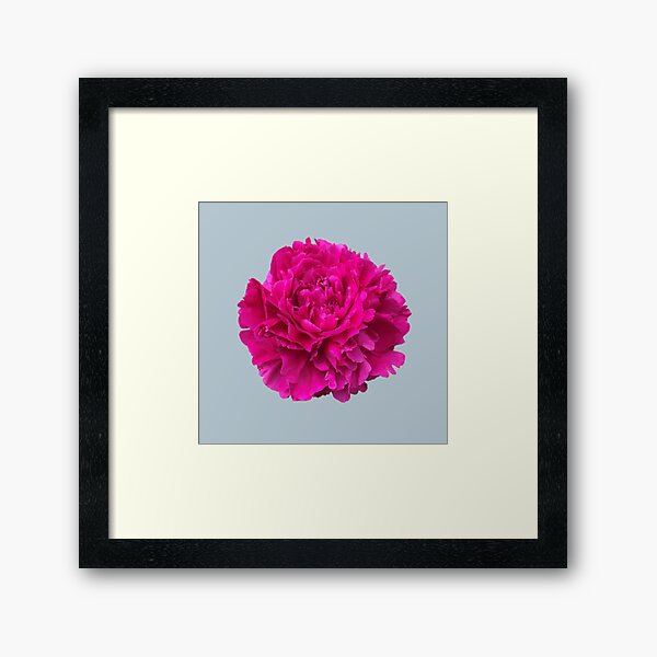 Item preview, Hot Pink Peony Close-up Photo designed and sold by InalterataArt.