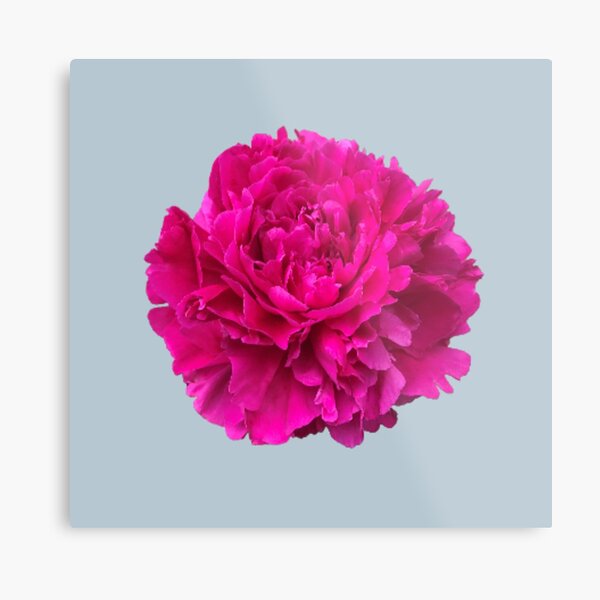 Item preview, Hot Pink Peony Close-up Photo designed and sold by InalterataArt.