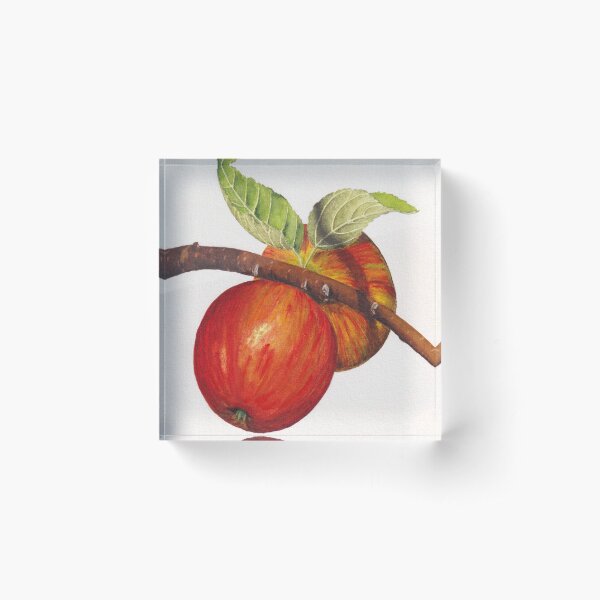 Autumn bounty: apples on a branch original watercolor art Acrylic Block