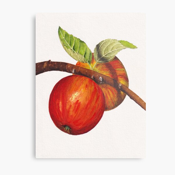 Autumn bounty: apples on a branch original watercolor art Metal Print