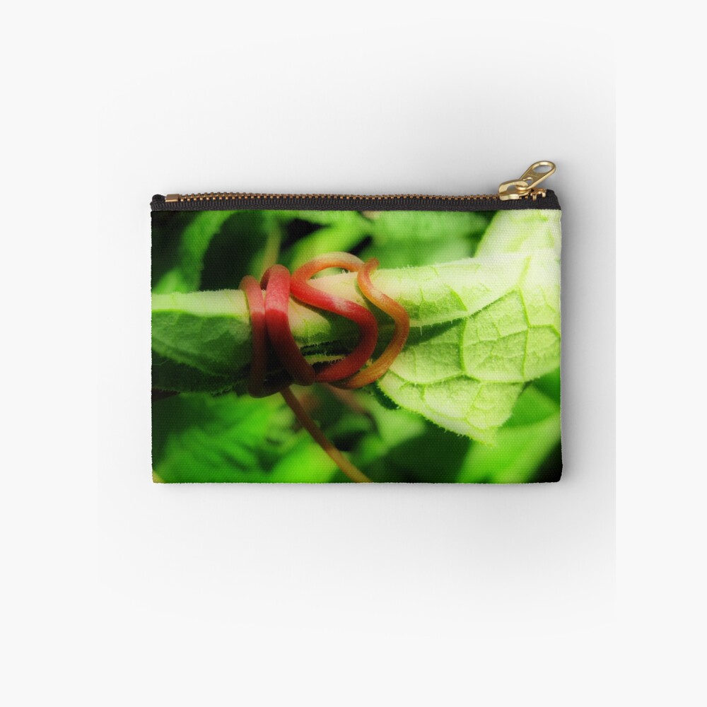 Item preview, Zipper Pouch designed and sold by shutterbug2010.