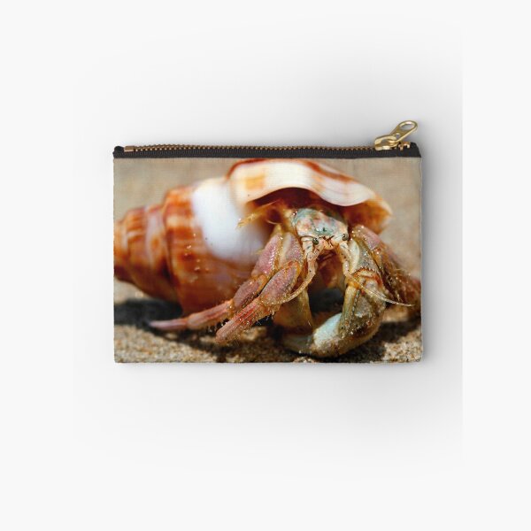 Item preview, Crowdy Bay Hermit Crab designed and sold by Normf.