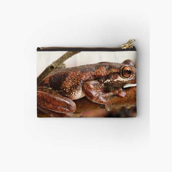 Item preview, Bleating Tree Frog -  Litoria dentata. designed and sold by Normf.