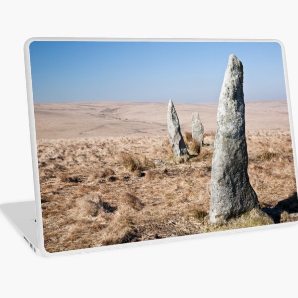 Lean to the Wind Laptop Skin