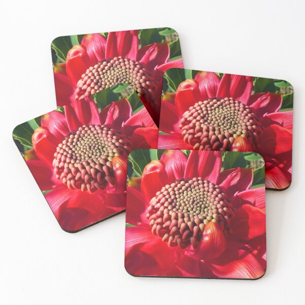 Artikelvorschau, Die offene Waratah-Blume entworfen und verkauft von cryptomilitant.