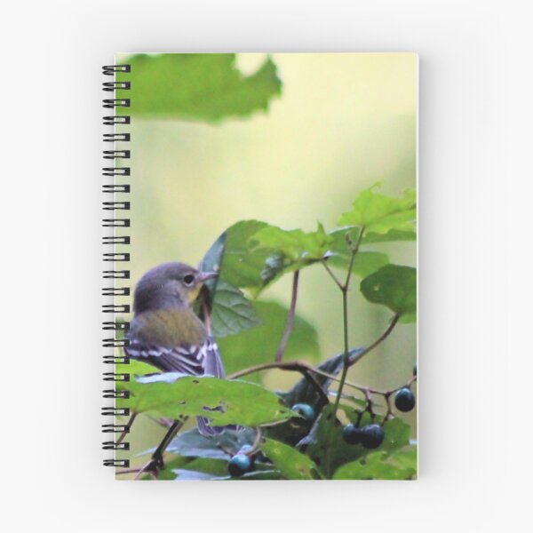 Item preview, BERRY PICKING designed and sold by BOLLA67.
