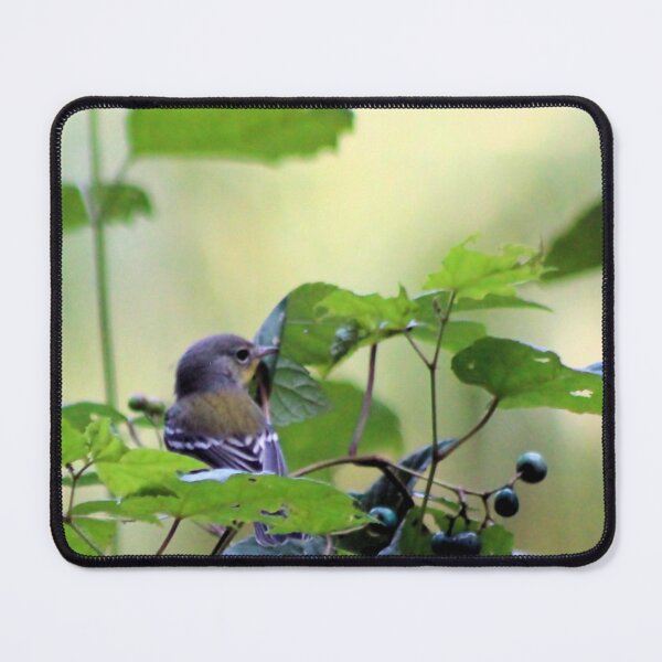 Item preview, BERRY PICKING designed and sold by BOLLA67.