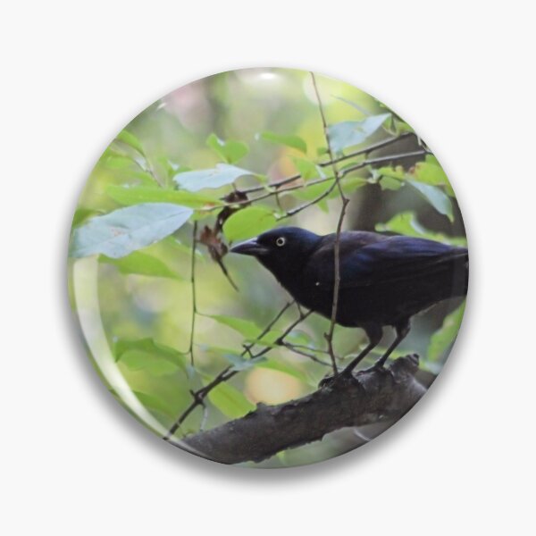 Item preview, GRACKLE designed and sold by BOLLA67.