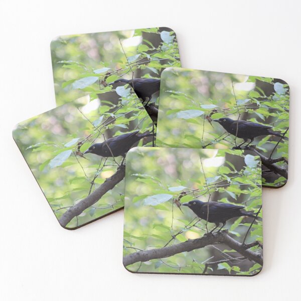 Item preview, GRACKLE designed and sold by BOLLA67.