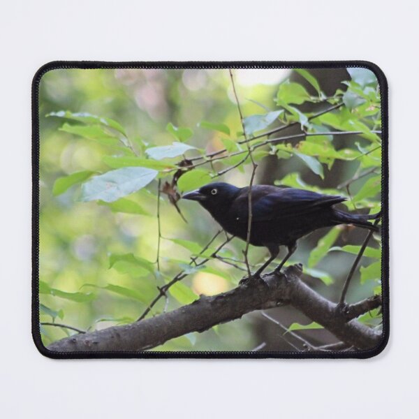 Item preview, GRACKLE designed and sold by BOLLA67.
