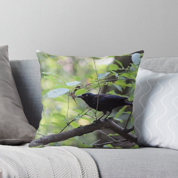 Item preview, GRACKLE designed and sold by BOLLA67.