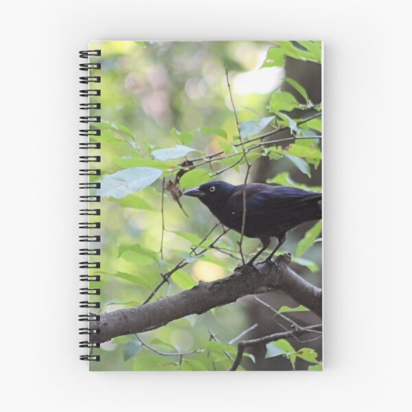 Item preview, GRACKLE designed and sold by BOLLA67.
