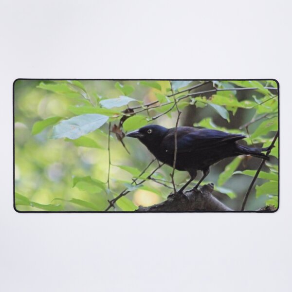 Item preview, GRACKLE designed and sold by BOLLA67.