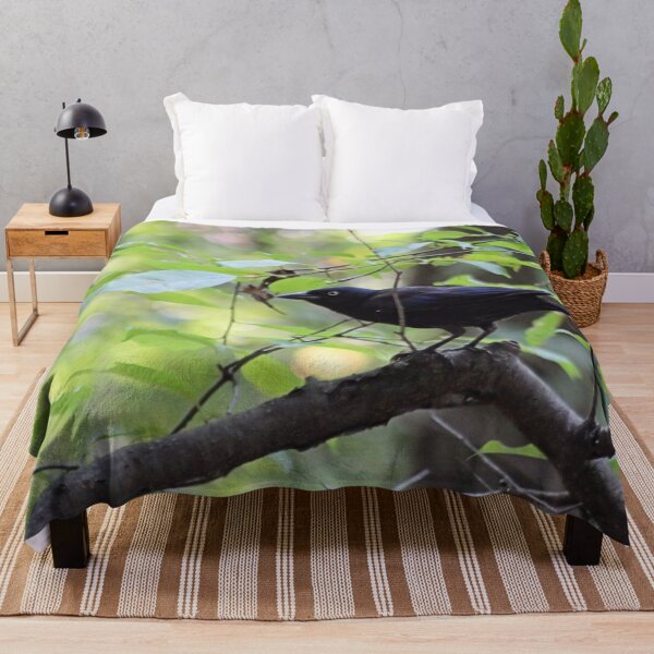 Item preview, GRACKLE designed and sold by BOLLA67.