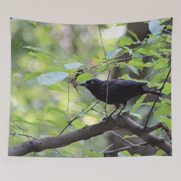 Item preview, GRACKLE designed and sold by BOLLA67.