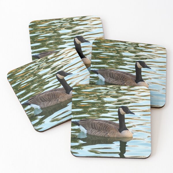 Item preview, Canada Goose Swimming - Wild Canada Goose Bird designed and sold by BackyardBirder.