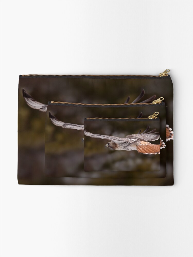 Thumbnail 2 of 4, Zipper Pouch, Red Tail Hawk In Flight designed and sold by GaryFairhead.