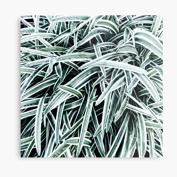 Item preview, High Key High Contrast Tangle of Fonds designed and sold by Alchymie.