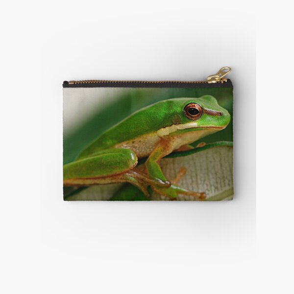 Item preview, Eastern Dwarf Green Reed Frog - Litoria fallax designed and sold by Normf.
