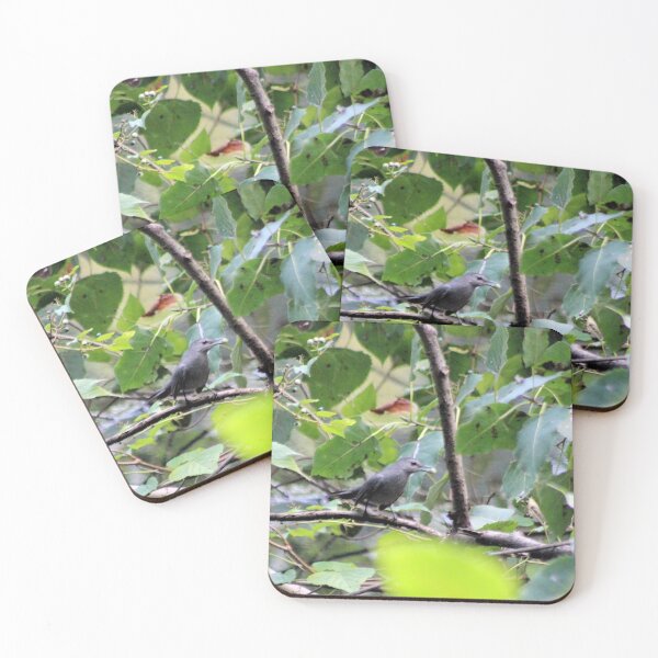 Item preview, GOT ONE designed and sold by BOLLA67.