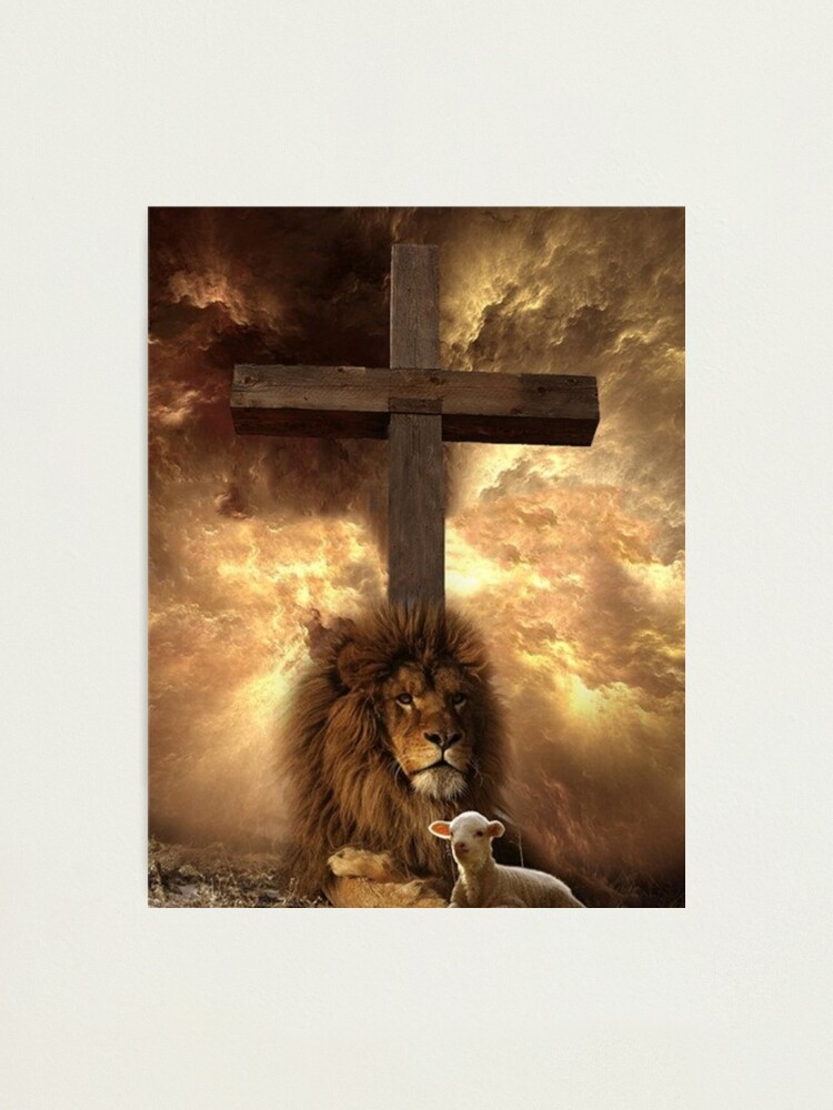 Lion Sheep Old Wooden Cross Photographic Print for Sale by Rowena Jones