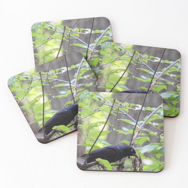 Item preview, ANOTHER GRACKLE designed and sold by BOLLA67.