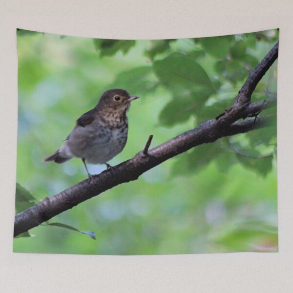 Item preview, CUTE designed and sold by BOLLA67.