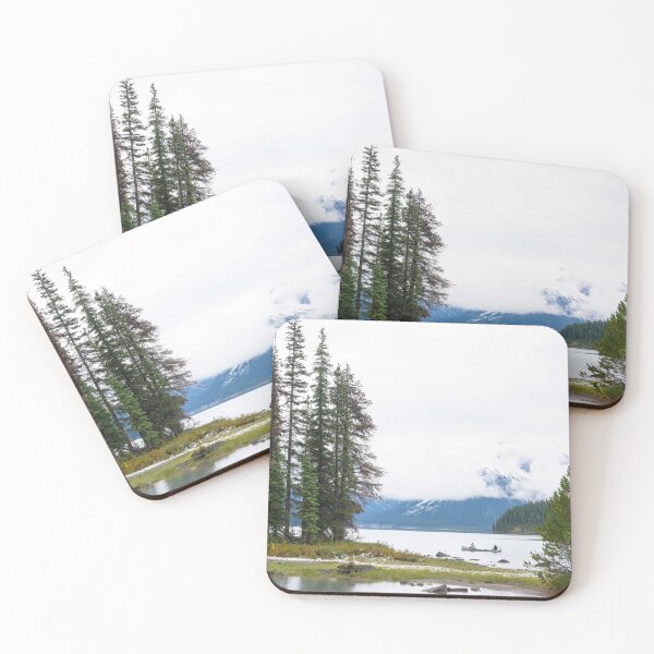 Item preview, Spirit Island designed and sold by vasu.