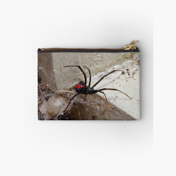 Item preview, Redback Spider (Latrodectus hasselti) designed and sold by Colin  Ewington.