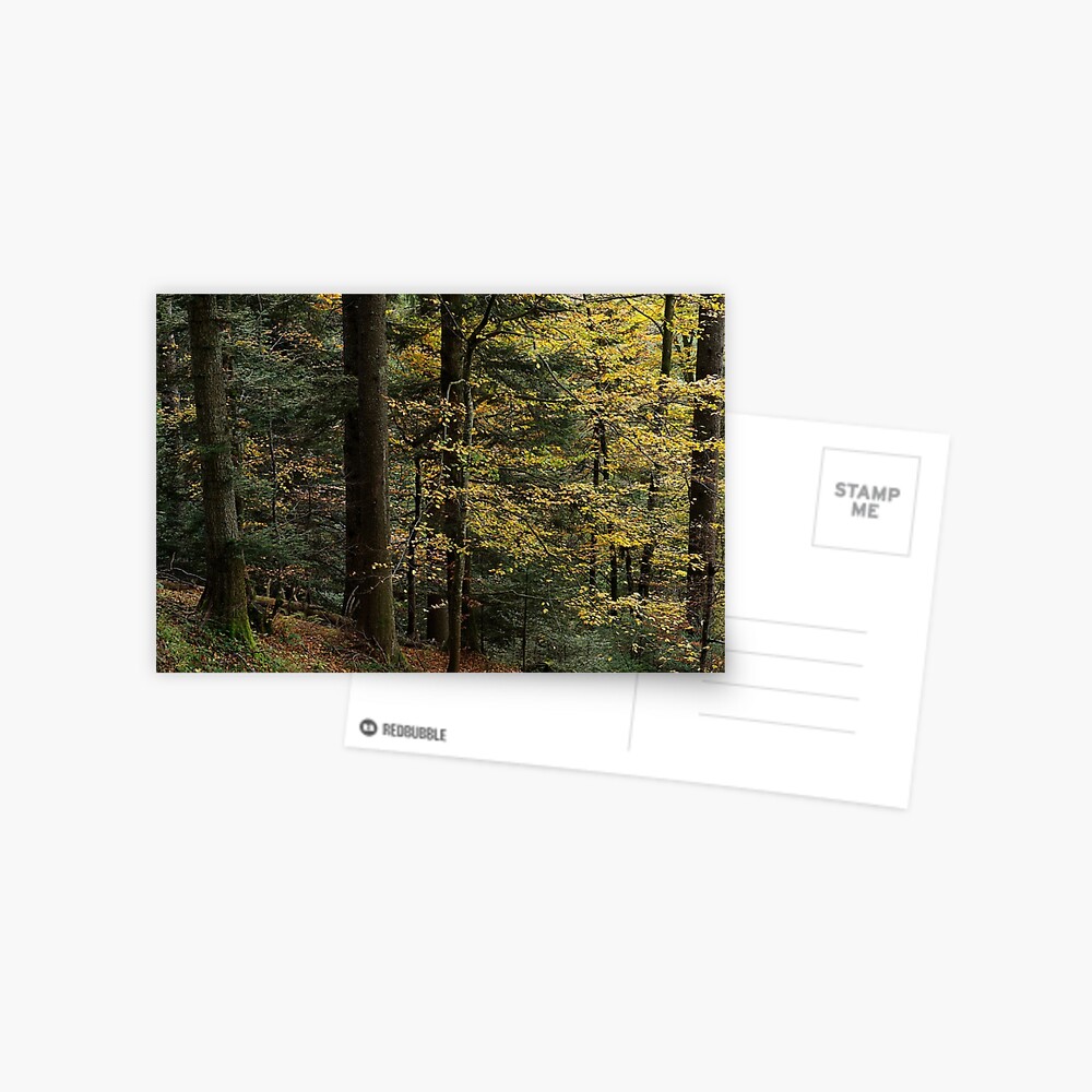 Item preview, Postcard designed and sold by patmo.