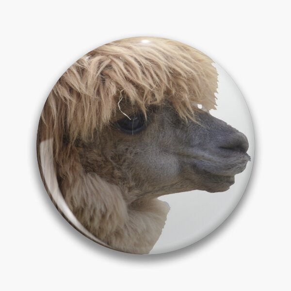 Item preview, Cute Llama designed and sold by ElishaKayne.