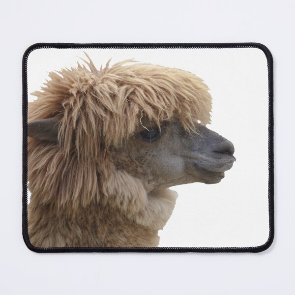 Item preview, Cute Llama designed and sold by ElishaKayne.