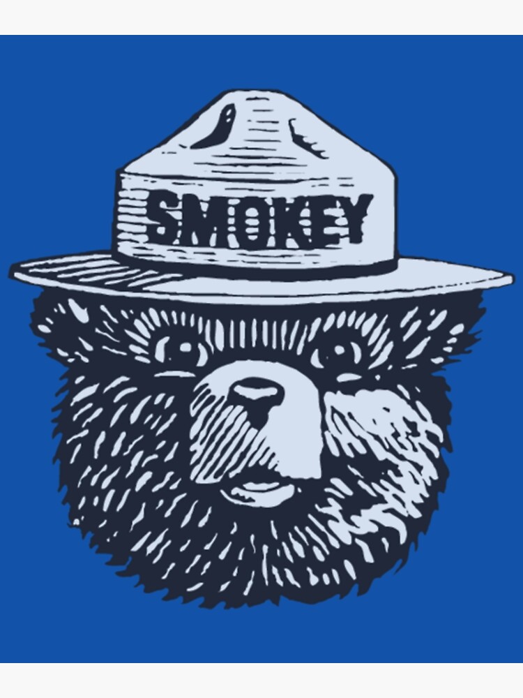 smokey-bear-smokey-the-bear-poster-for-sale-by-partymax-redbubble